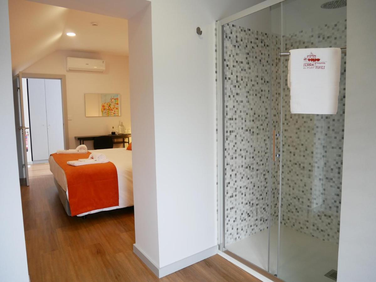 Serra Do Pilar Porto Suites 빌라노바데가이아 외부 사진